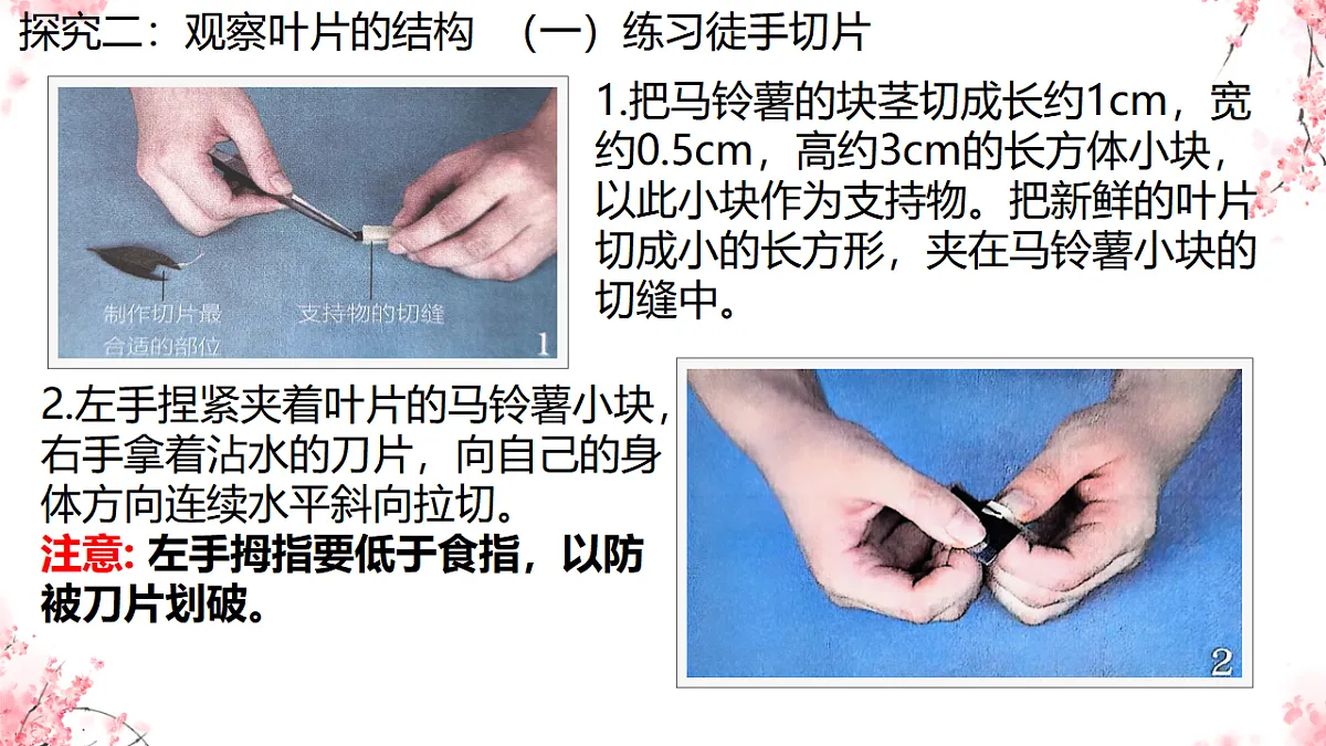 17752735第7页