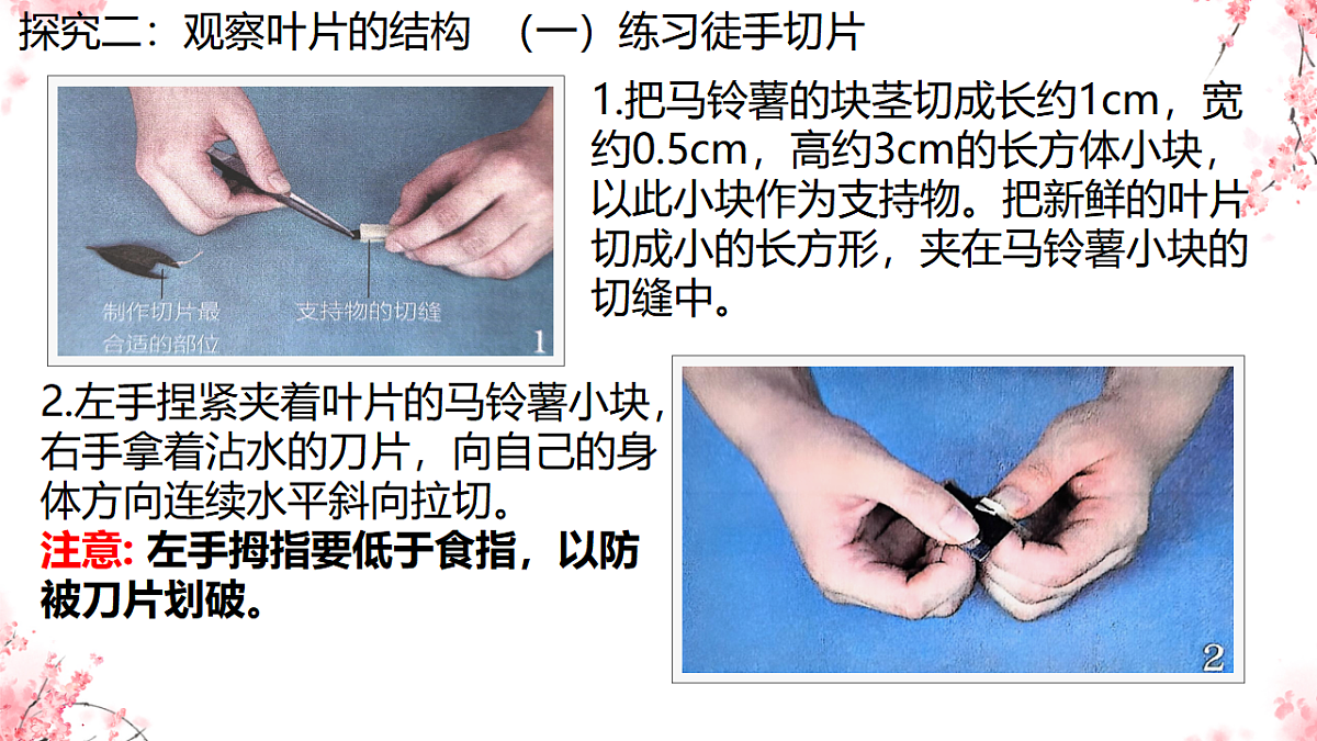 17752735第7页