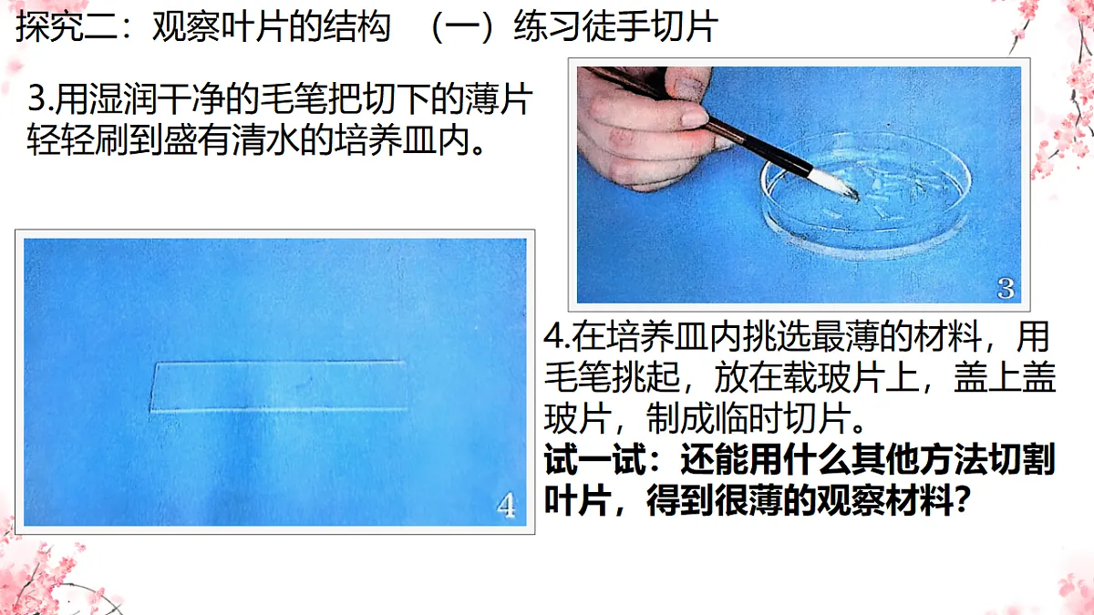 17752735第8页