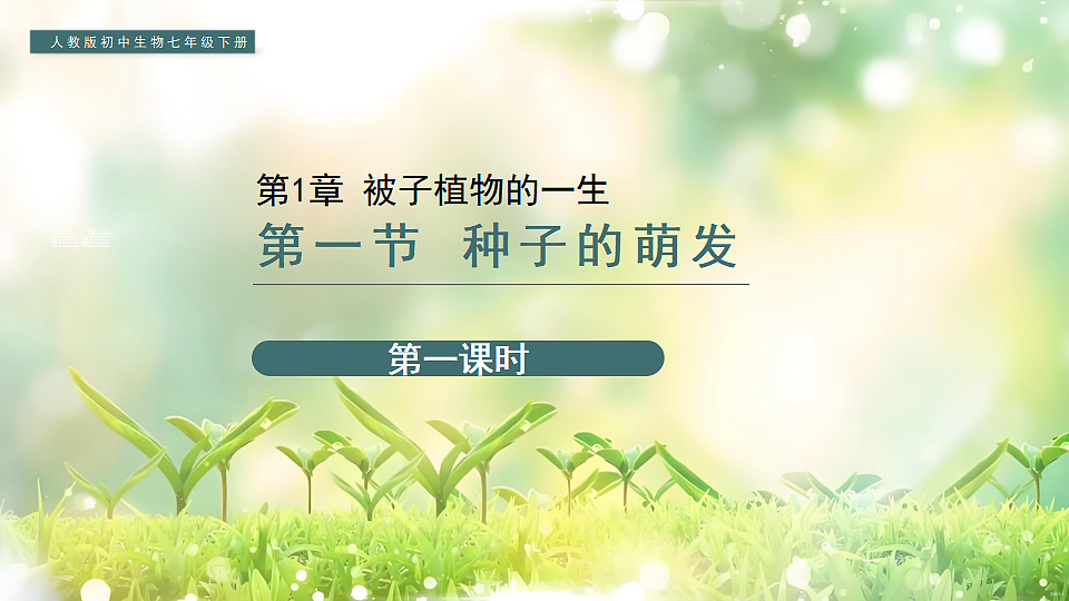17752738第1页