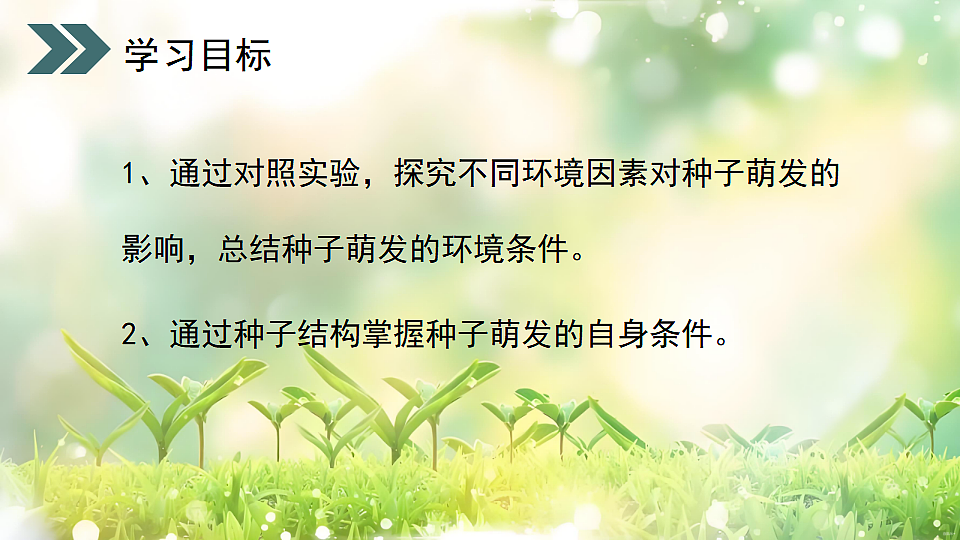 17752738第2页