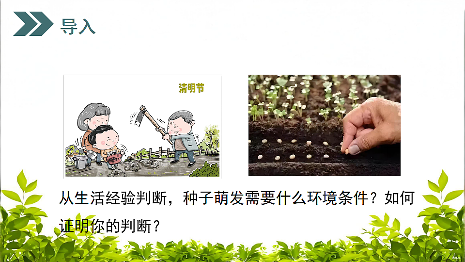 17752738第3页