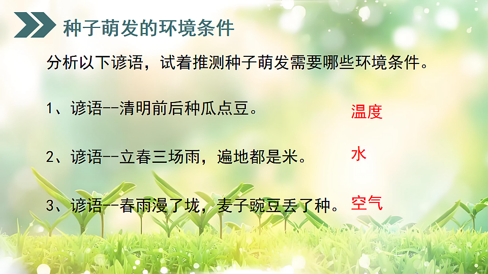 17752738第5页