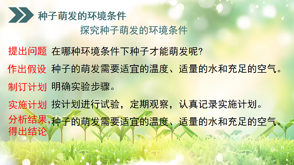 17752738第6页