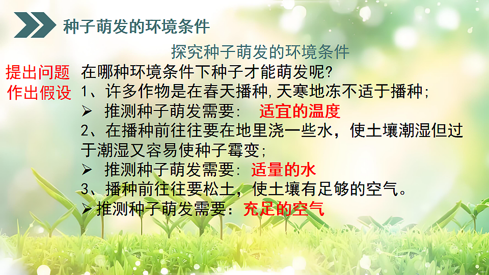 17752738第7页