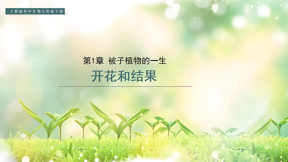 17752740第1页