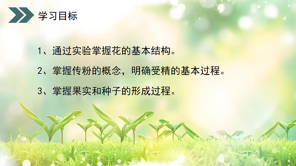17752740第2页