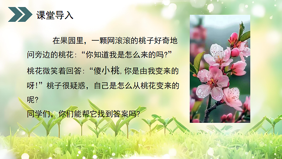 17752740第3页
