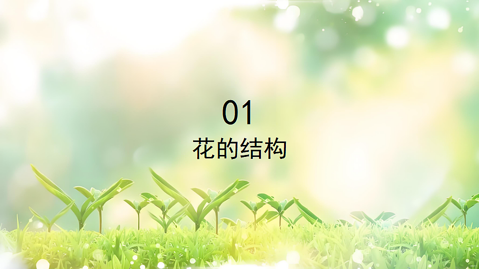 17752740第4页