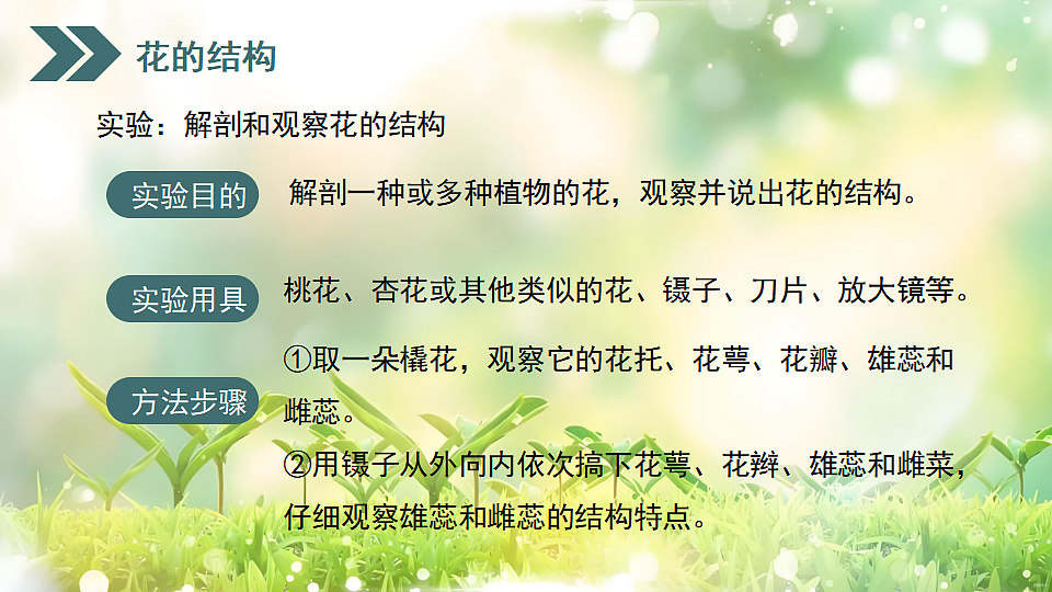 17752740第5页