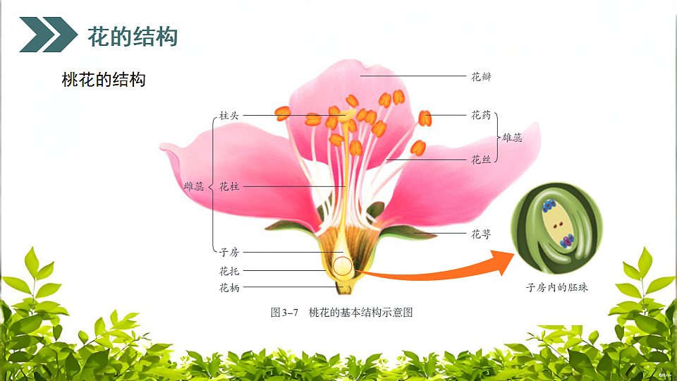 17752740第6页