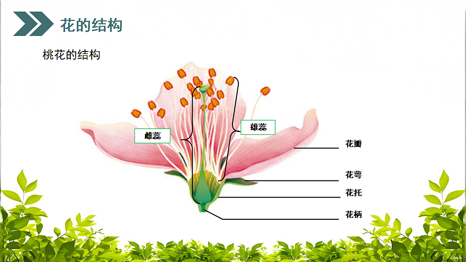 17752740第7页