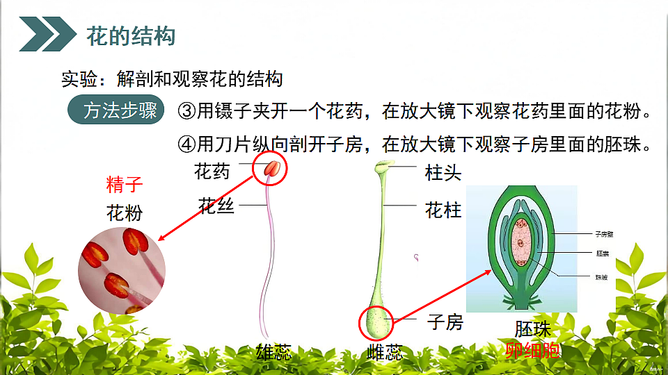 17752740第8页