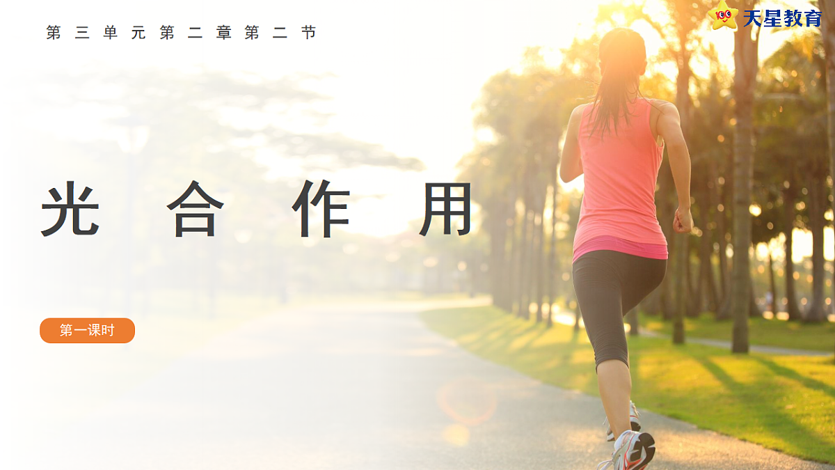 17752741第1页