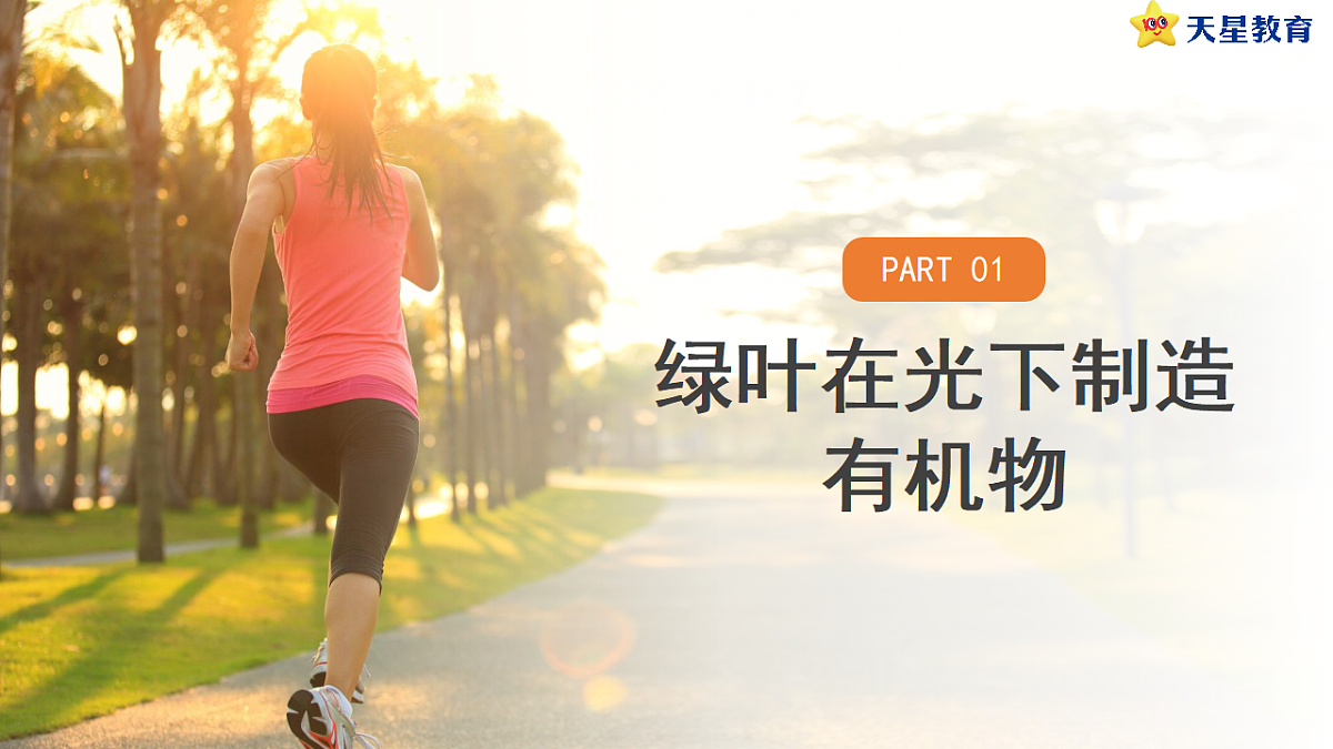 17752741第4页