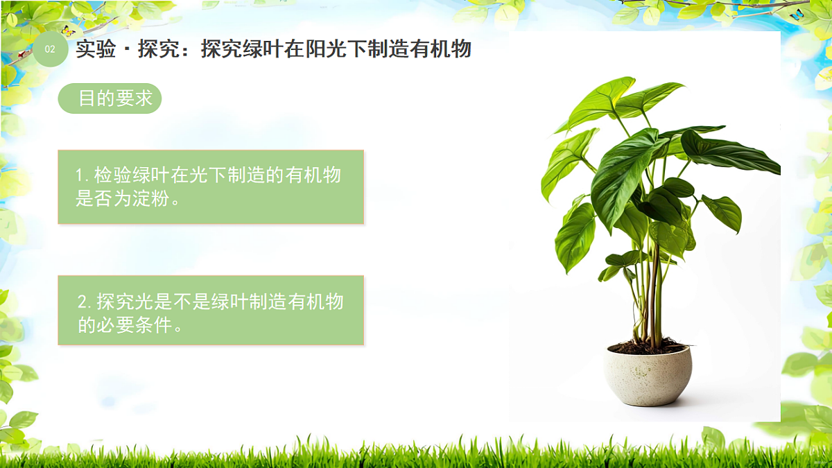 17752741第5页