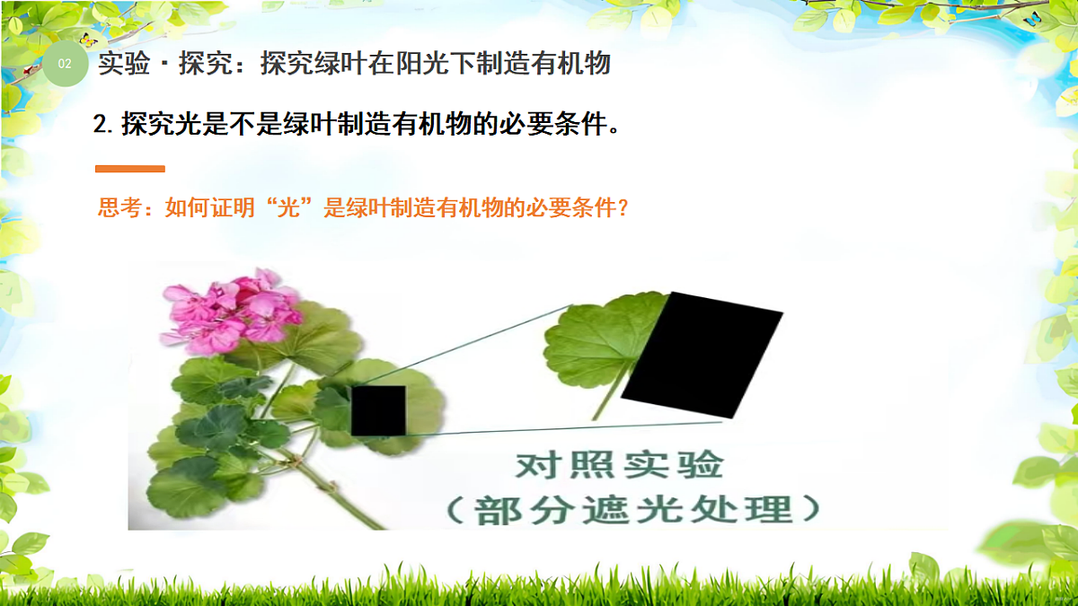17752741第8页