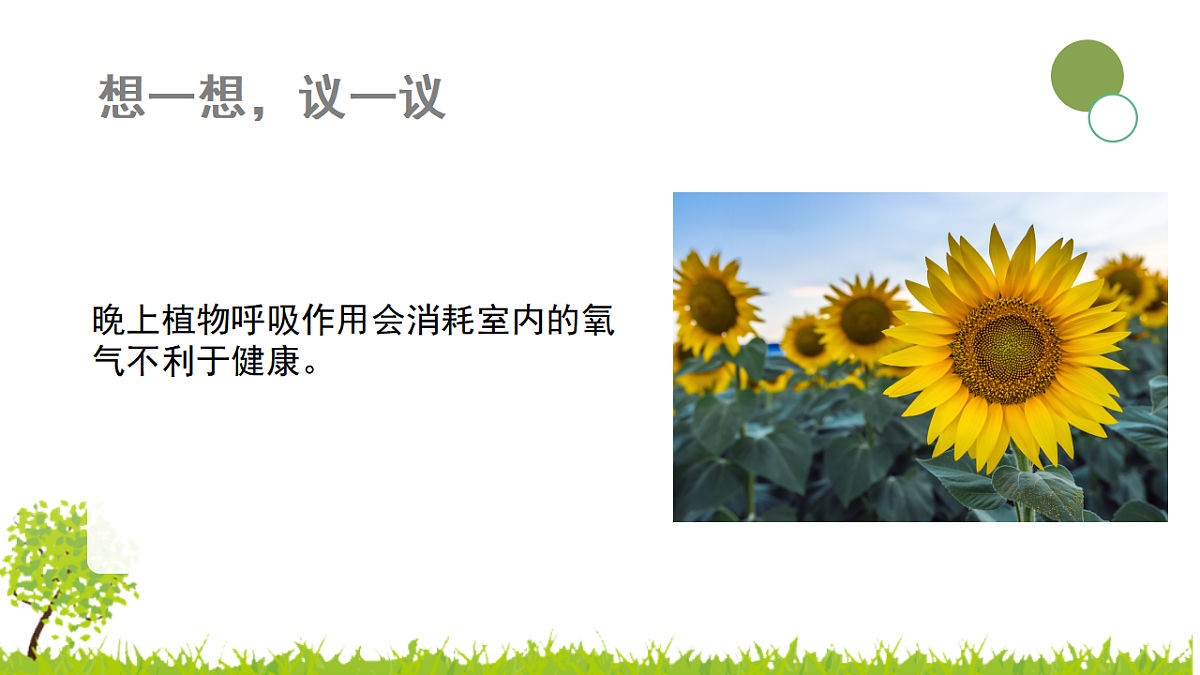 17752742第4页