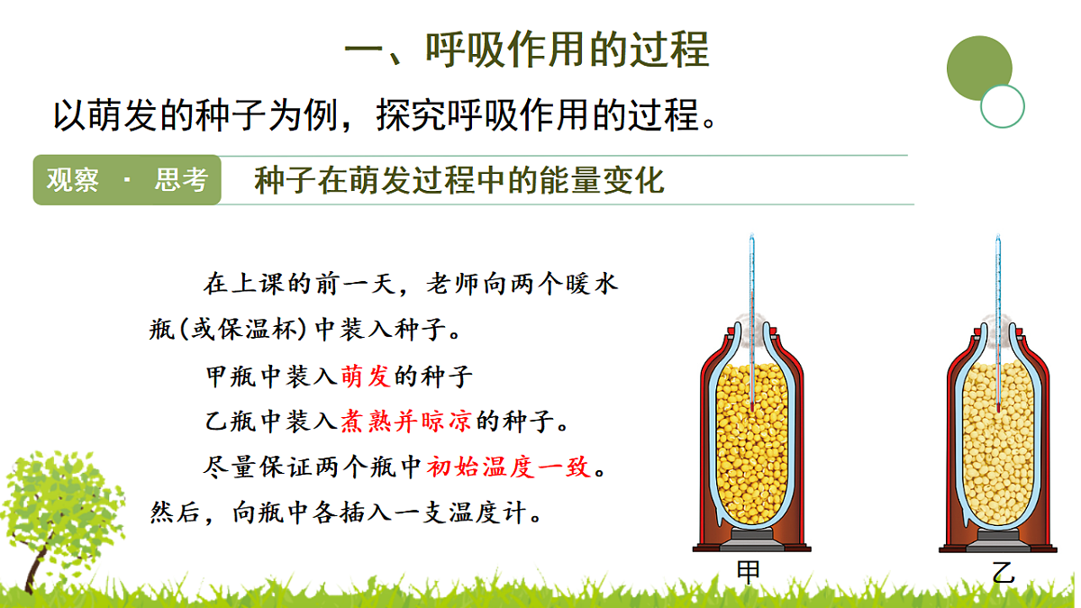 17752742第5页