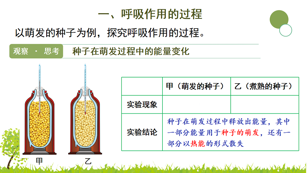 17752742第6页