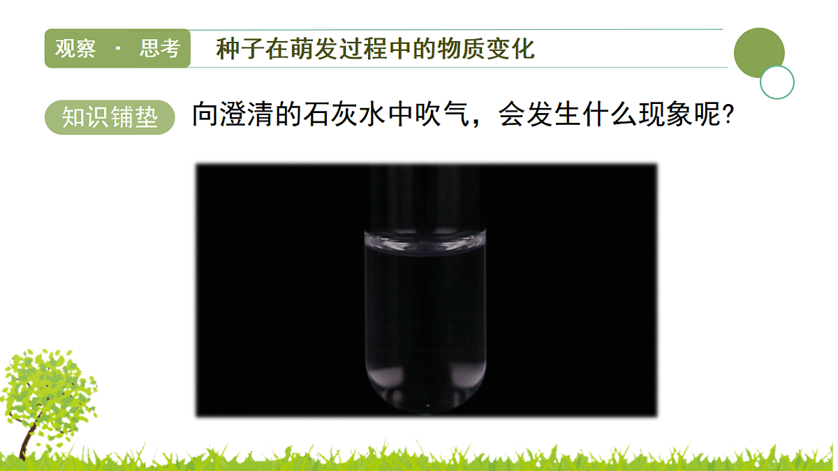 17752742第8页