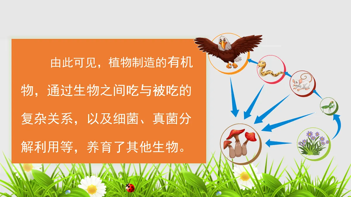 17752743第7页
