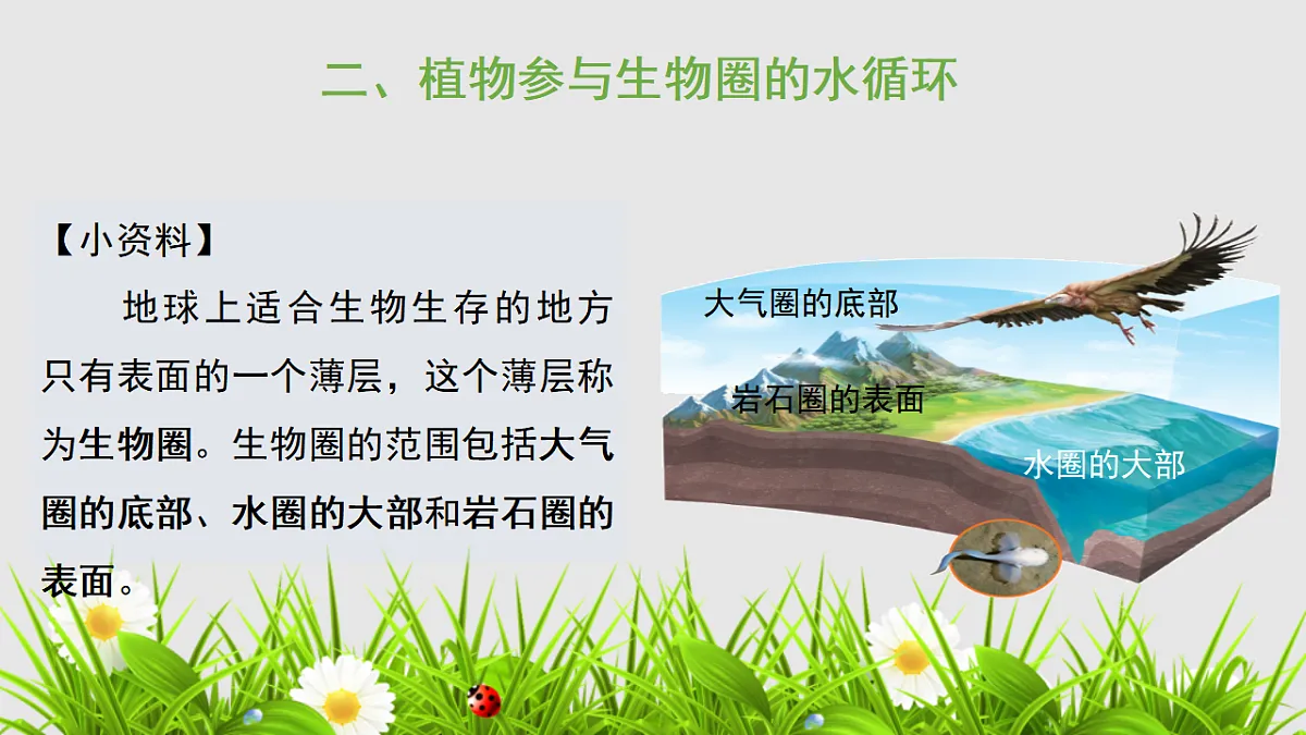 17752743第8页