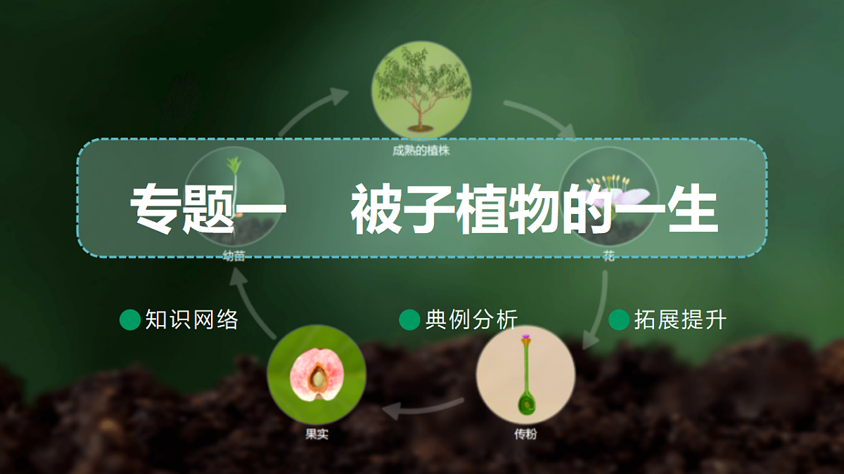17754407第2页