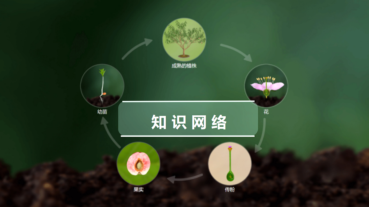 17754407第4页