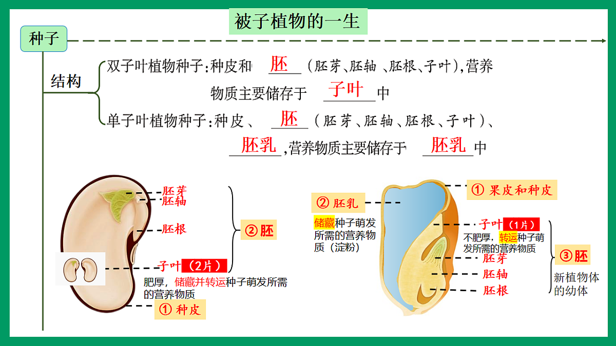 17754407第5页