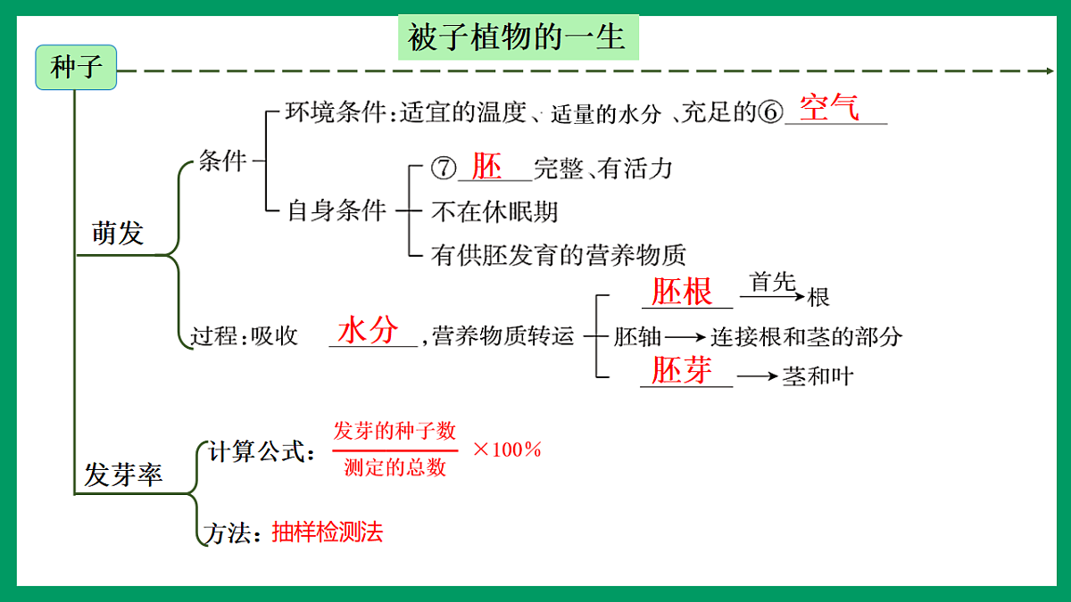 17754407第6页