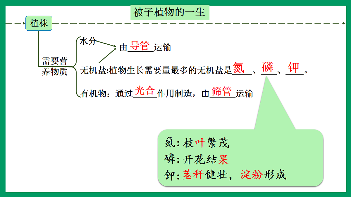 17754407第8页