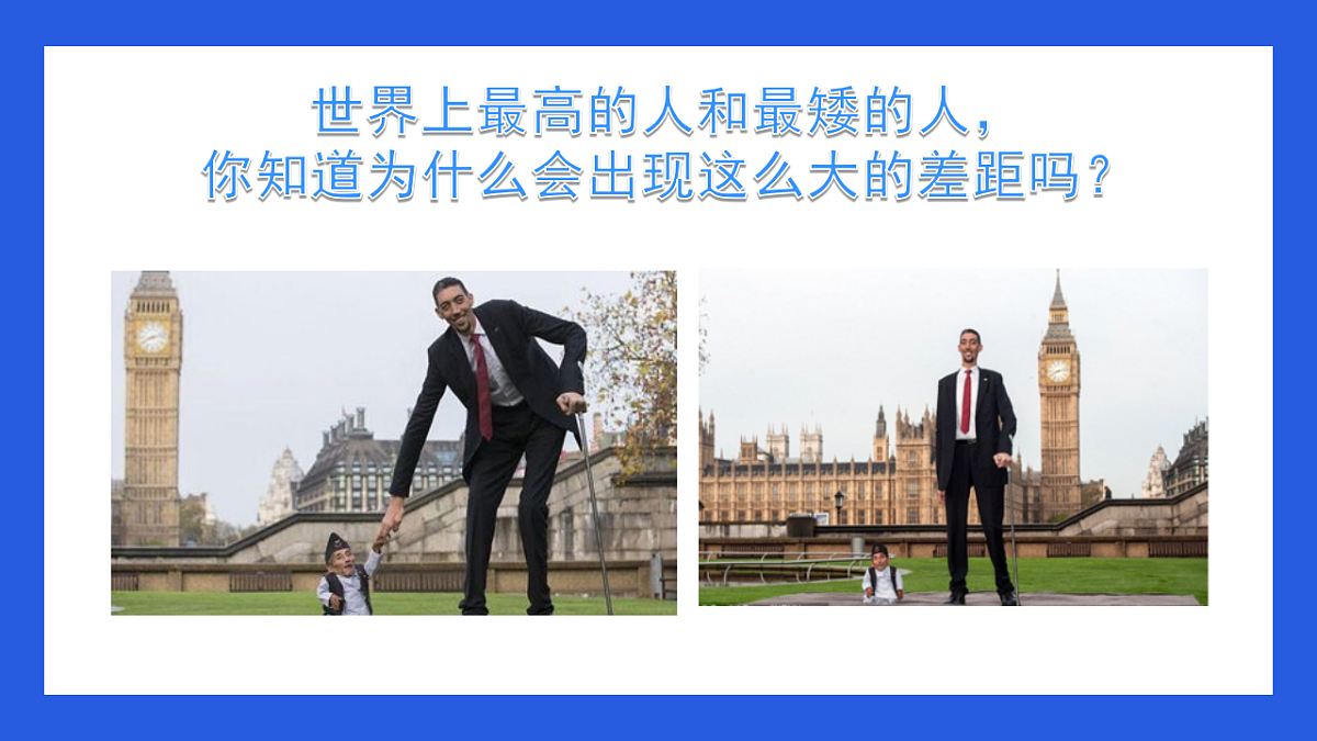 17754796第1页