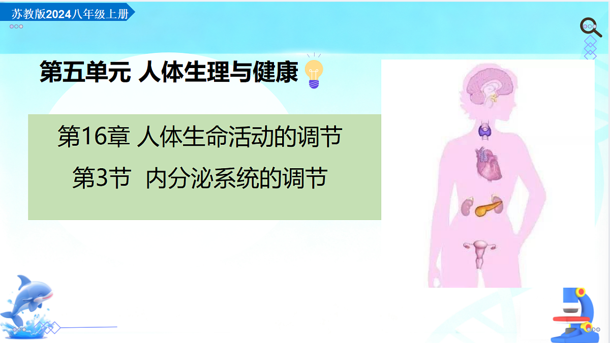 17754796第2页