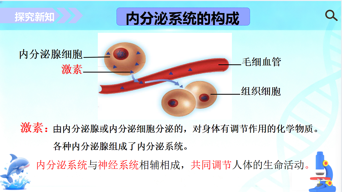 17754796第5页