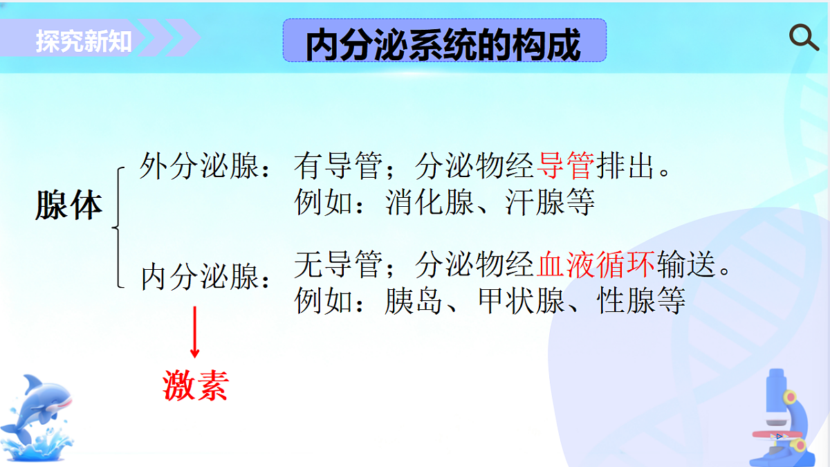17754796第6页