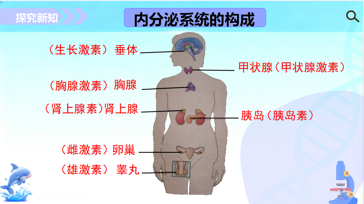 17754796第7页