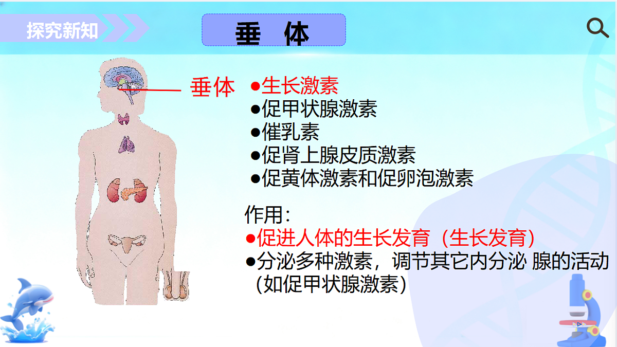 17754796第8页