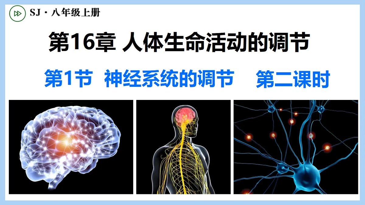 17754963第1页
