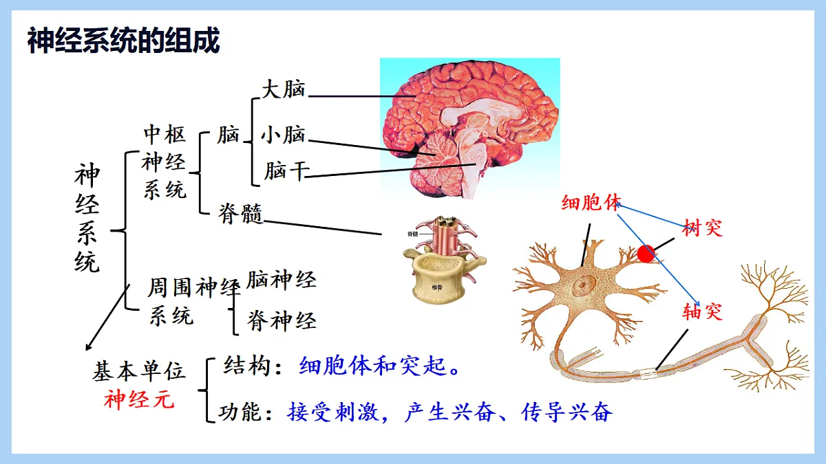 17754963第3页