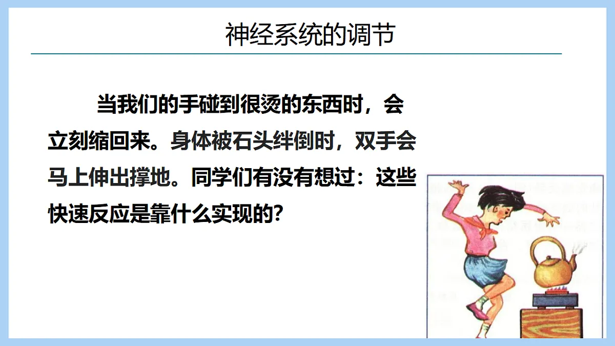 17754963第4页