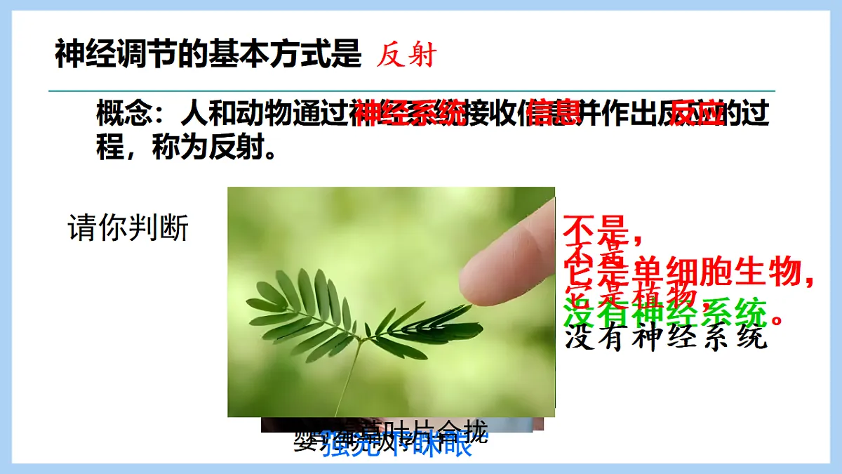 17754963第6页