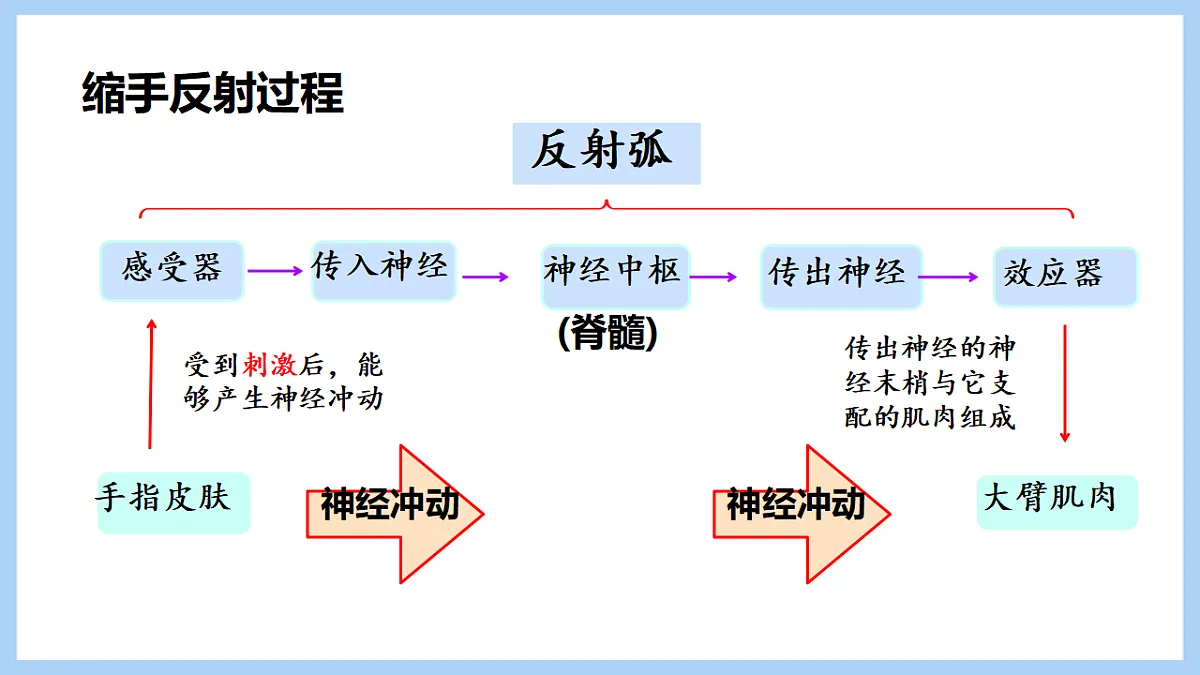17754963第7页