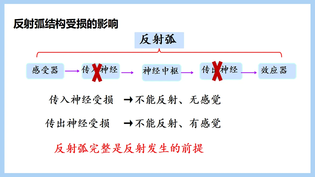 17754963第8页