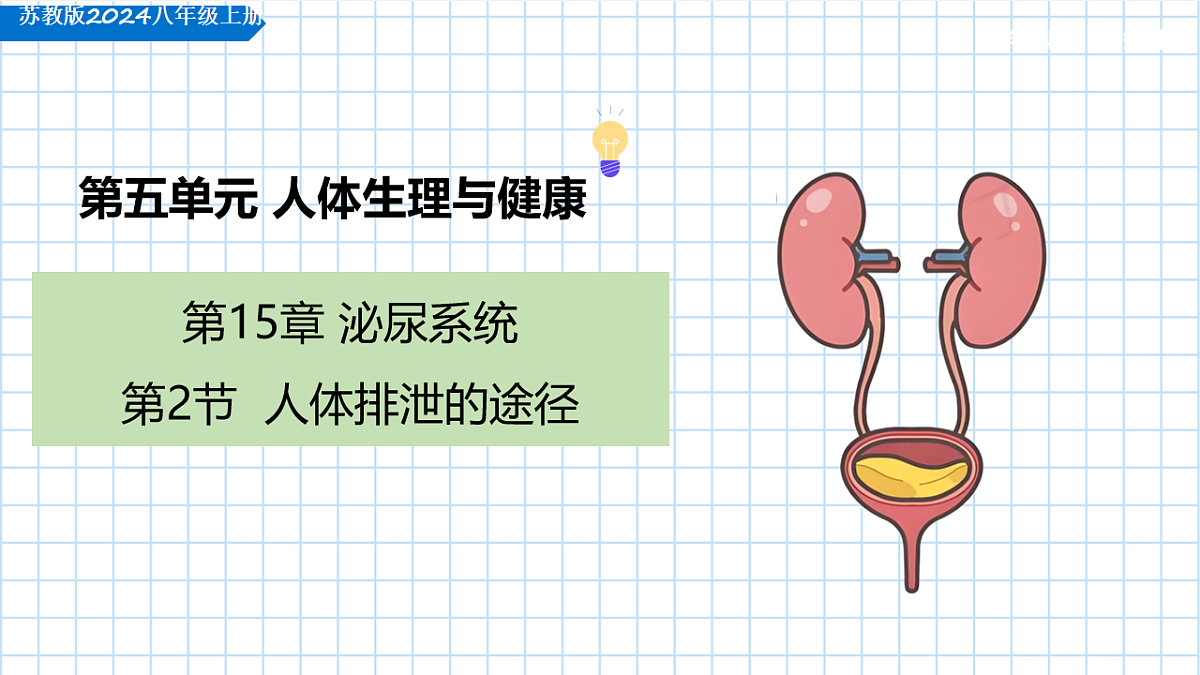 17755215第1页