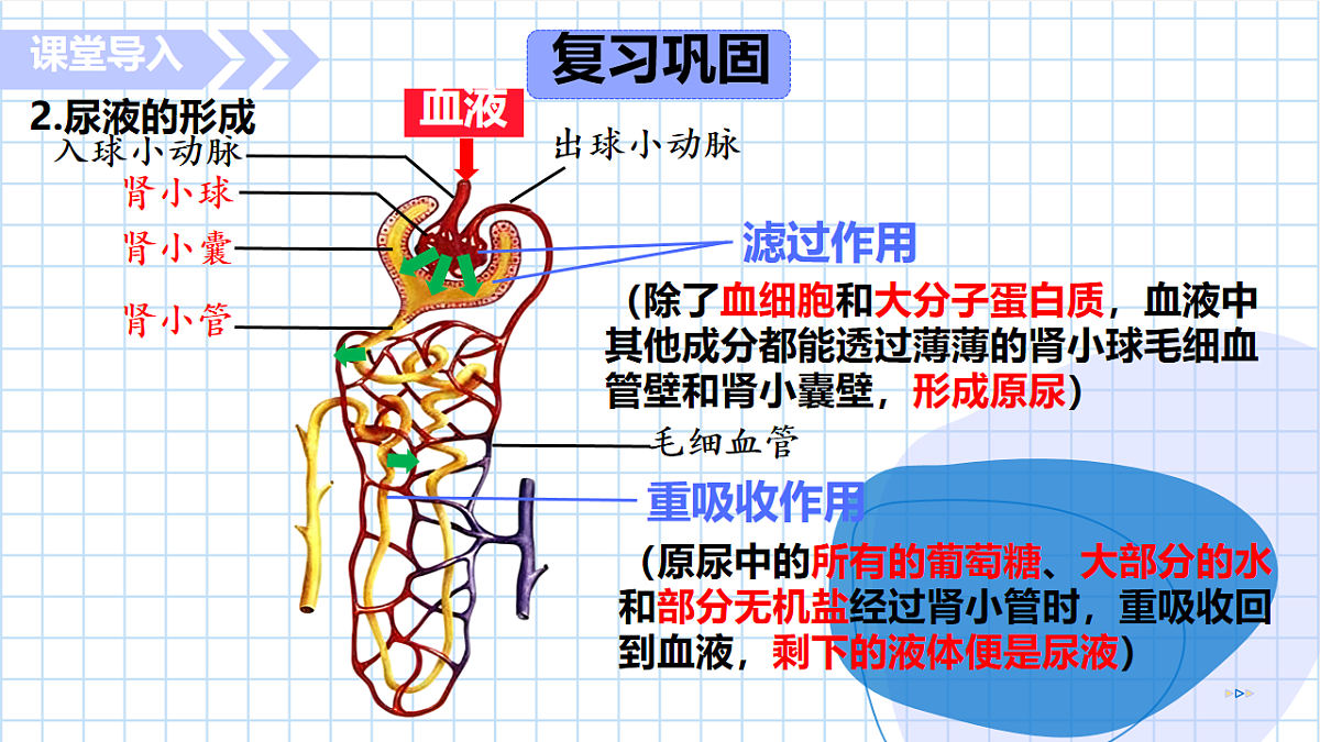 17755215第6页