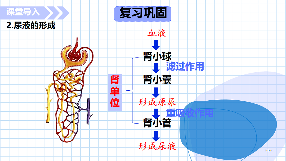 17755215第7页