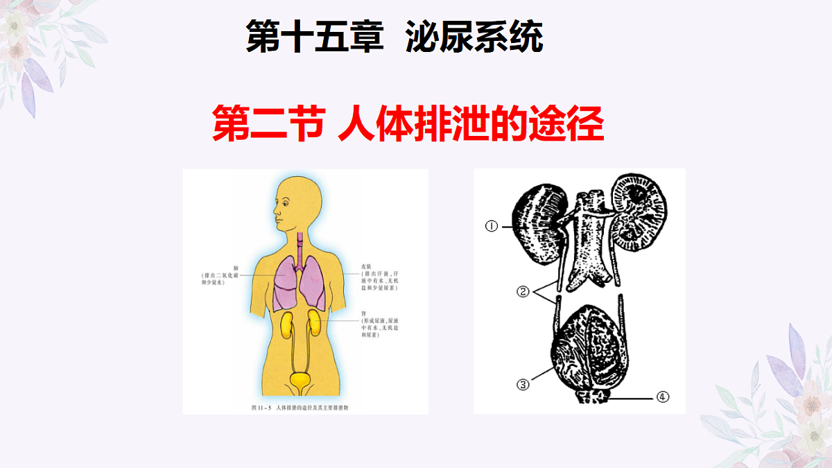 17755216第1页