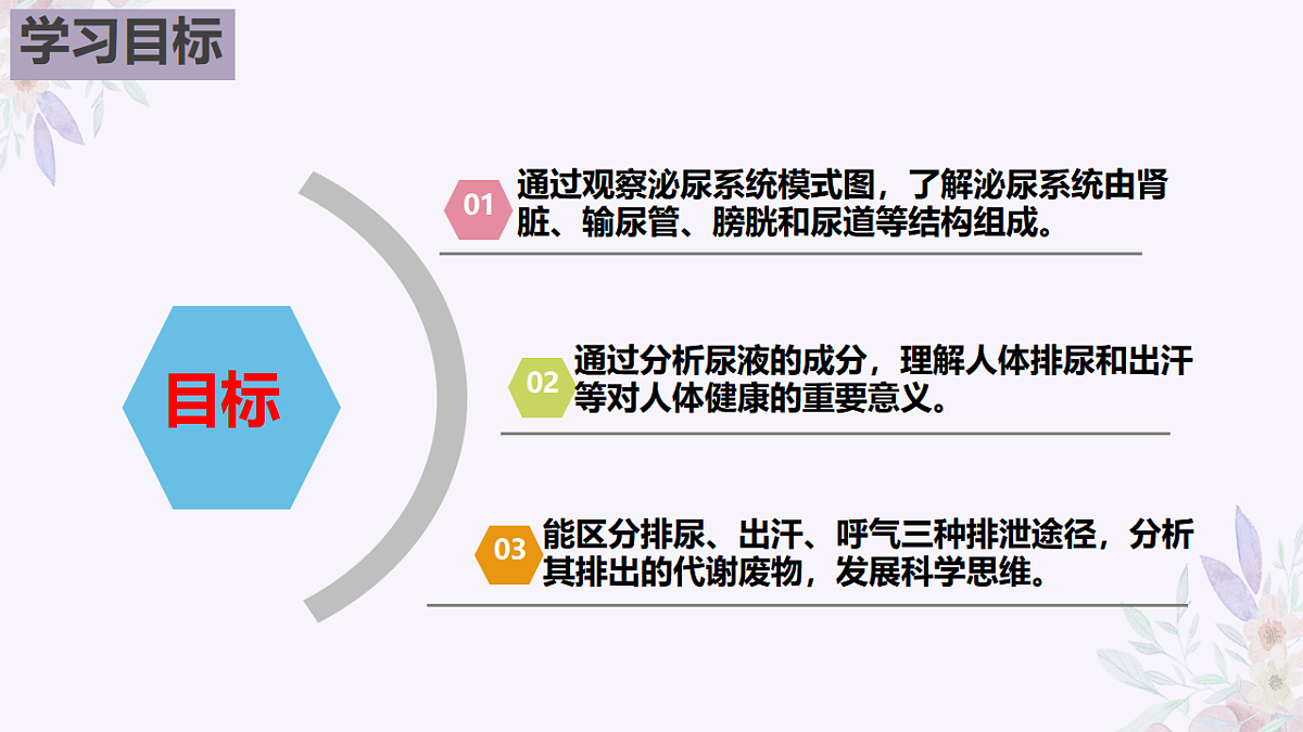 17755216第2页