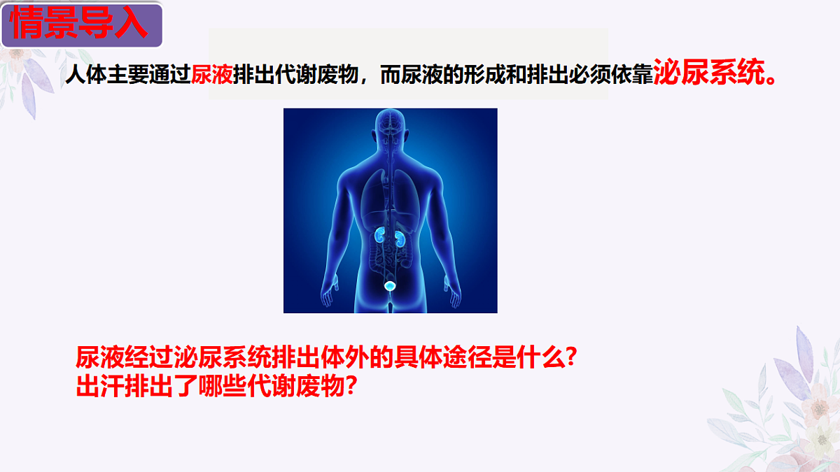 17755216第3页